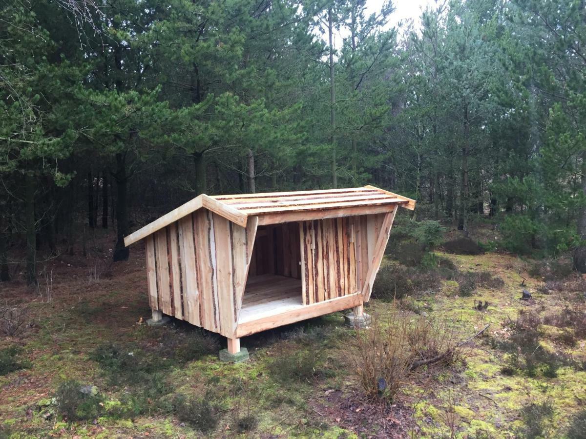 Hjortestien 7 Henne Strand Exterior foto